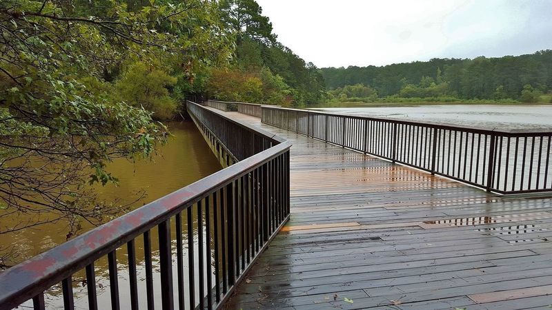 Bridge over Shelley Lake