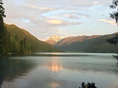 Packwood Lake Hiking Trail Morton Washington