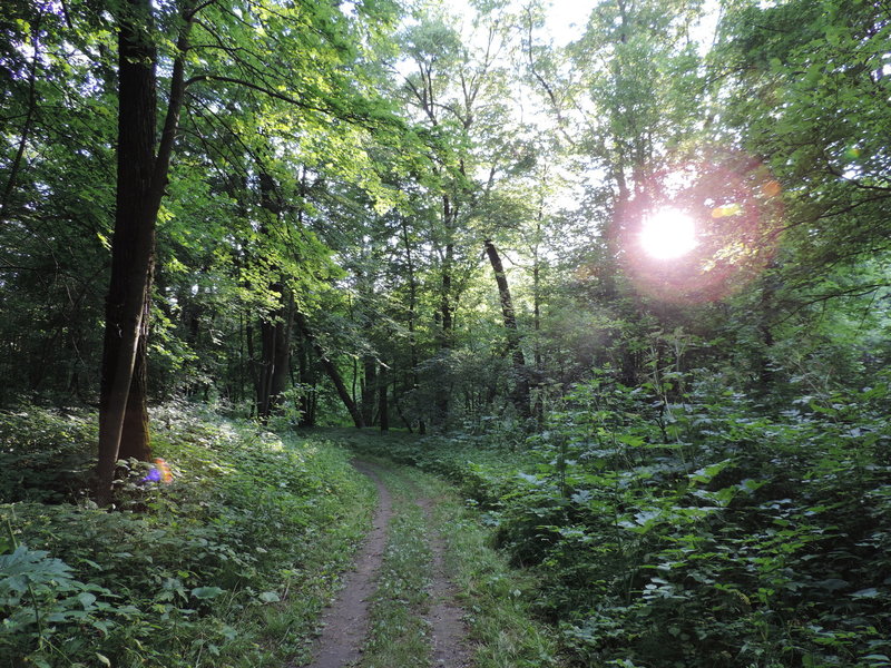 Turtle River State Park Loop Hiking Trail, Grand Forks Air Force Base ...