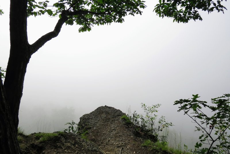 Early morning summer hikes can be beautiful, but near the Delaware River fog can often obscure fantastic views.  This should have been an overlook with a 400 ft drop-off.