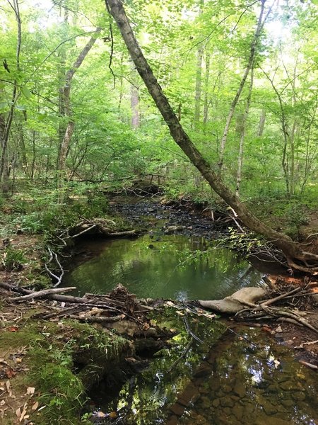 Cedarock Park Tour Hiking Trail, Swepsonville, North Carolina