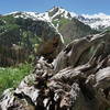 Interesting photo ops adorn the trails throughout the Weminuche Wilderness.