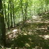 End of Fishkill Ridge Trail