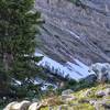 Mountain goat grazing in Timpanogos Basin. We came face to face with him on the way down along the forest trail as we all sought cover from the hailstorm.