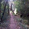 Matinha Trail