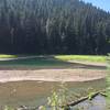 Meadow Creek along the Greenwater Trail #1177