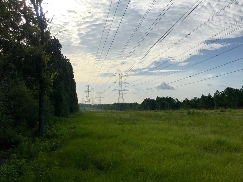 As the trail exits the woods to follow the power lines for a while.