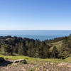Coastal view from Dipsea Trail