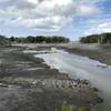 Damde Meadow tidal marsh at low tide