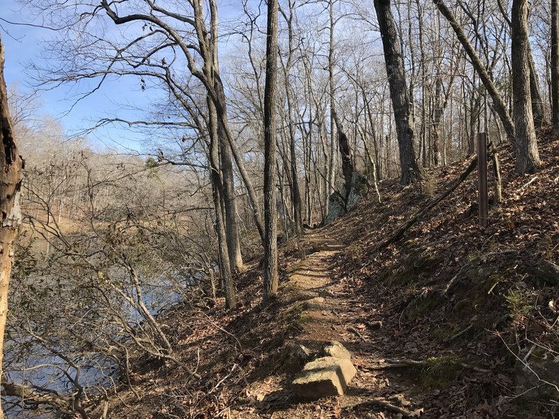 The trail along Moore's Pond in the early spring.