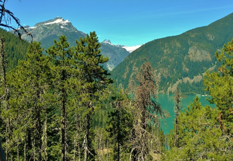 Davis Peak, MacMillan Spires, distant glacier, and nearby shoulder of Sourdough Mountain (left to right) rise above Diablo Lake, looking northwest from Thunder Knob