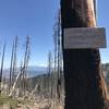 Pacific Crest Trail sign with Mount Shasta in the background at intersection of Music Creek Trail in Russian Wilderness