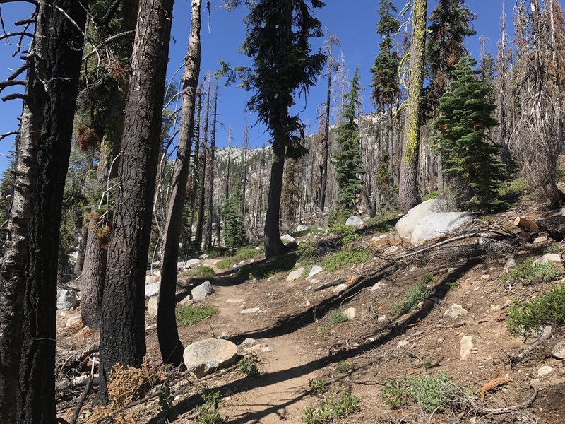 Pacific Crest Trail in Russian Wilderness