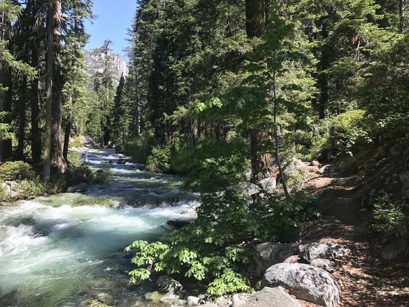 Canyon Creek Trail in Trinity Alps Wilderness