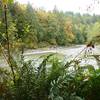 The lower Sandy River Trail is awesome in the fall with the trees turning and the salmon spawning!
