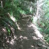 The trail is very family friendly but keep an eye on them in this section with the steeper side slope below the trail.