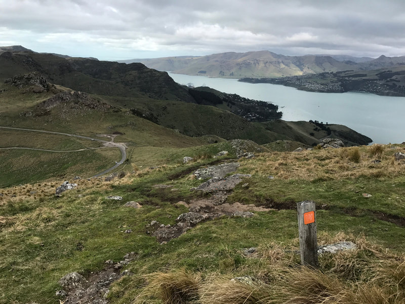 Looking towards Rapaki Saddle and Lyttelton from Summit of Mt. Vernon ...