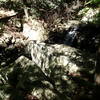 Small waterfall along the trail.
