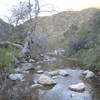 Stream in Zuma Canyon.