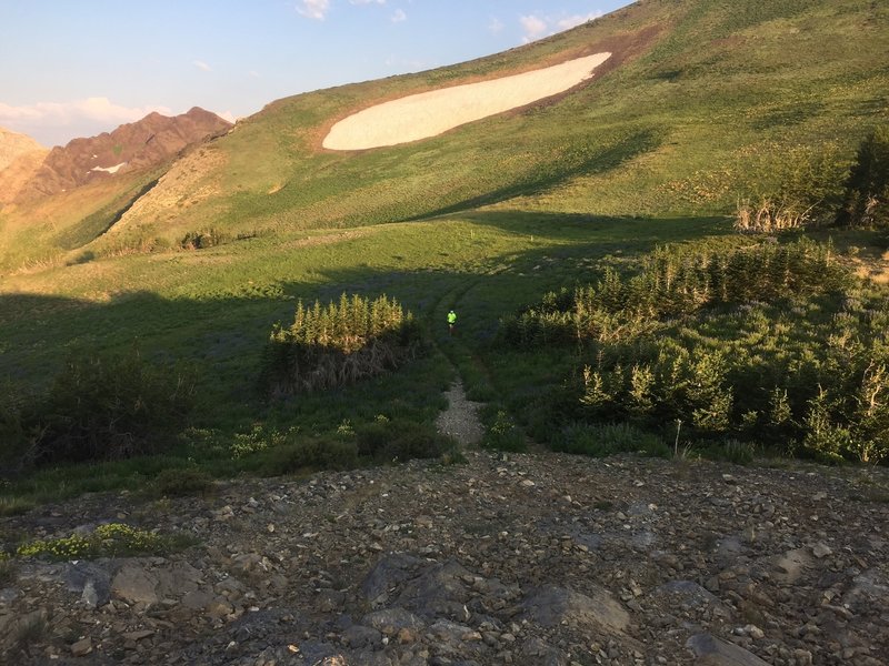 A view of the big snowfield (in early August), nearing the transition ...