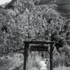 Tucker Wildlife Sanctuary, Modjeska Canyon