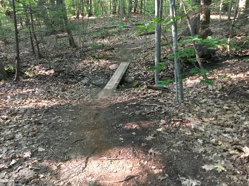 Short bridge on the Father and Son Trail.