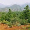 View of Mount Cutler from Penrose Trail (#665) aka Lower Captain Jack's Trail.