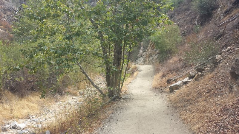 Canyon Trail