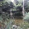 Baby waterfall in an ecological recovery area (not allowed to go in).