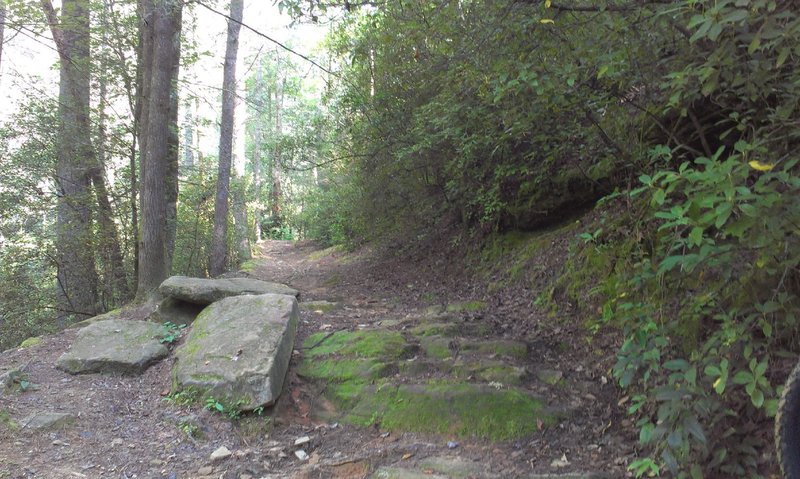 Entrance to trail near waterfall. This section of trail is rated difficult.