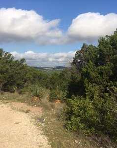 are dogs allowed at eisenhower park san antonio