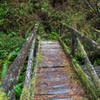 Mossy bridge crossing one of the creeks on Saddler Skyline Trail.