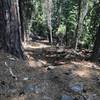 Loose soil on Sugar Lake Trail in Russian Wilderness