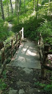 Running Trails Near Taylorsville Metropark