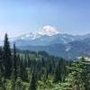 Majestic Mt Rainier view from the trail