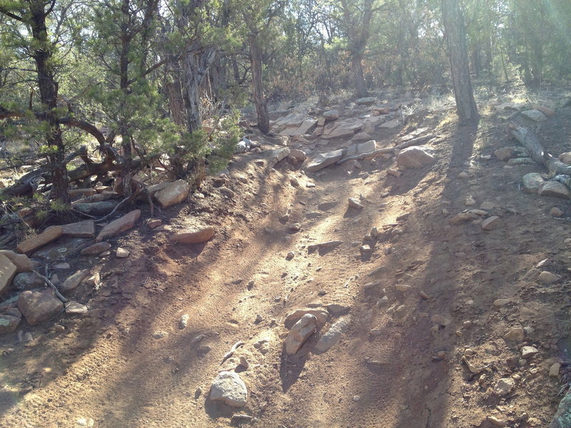 Rocky trail