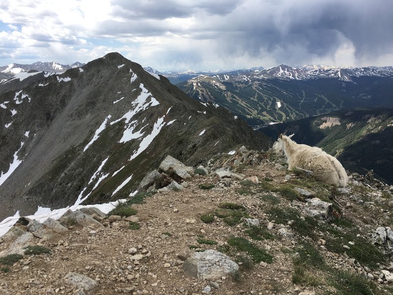 Ten Mile Range Traverse Hiking Trail Frisco Colorado