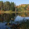 Tranquil, autumn day on Patsy Lake.