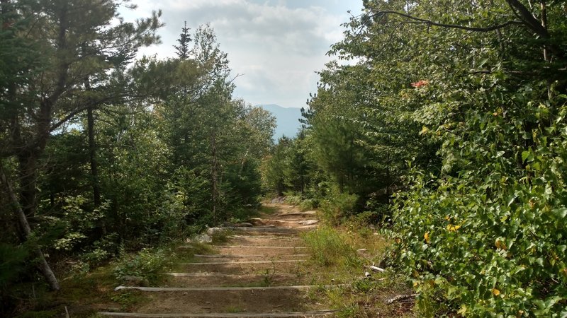 Black Cap "Spur" Path, connects back to main trail