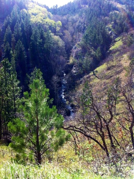 Ogden Creek flowing vertically