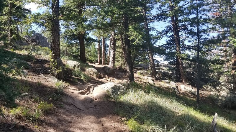 Trail has a few rocky parts