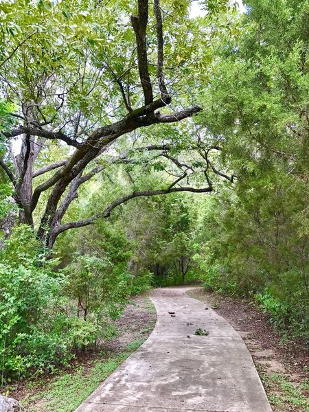 Woodlands Park & Nature Preserve... easy trail loop around the park and creek/lake area.
