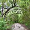 Woodlands Park & Nature Preserve... easy trail loop around the park and creek/lake area.