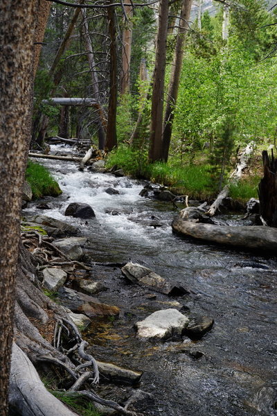 Parker creek, along the trail to Parker Lake