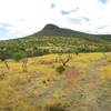 The singletrack meanders through Sonoran grasslands.