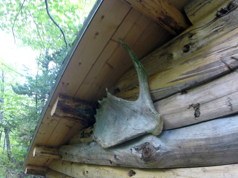 Wassataquoit Lake Shelter at the North end of lake. Decorated with a Moose antler.