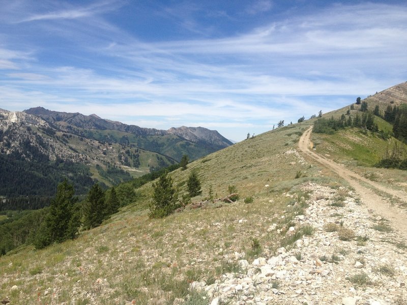 Looking west at the Wasatch Crest from the top of Puke Hill