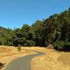 The paved, flat path and scenery of Llagas Creek Loop Trail in Rancho Canada del Oro Open Space Preserve.