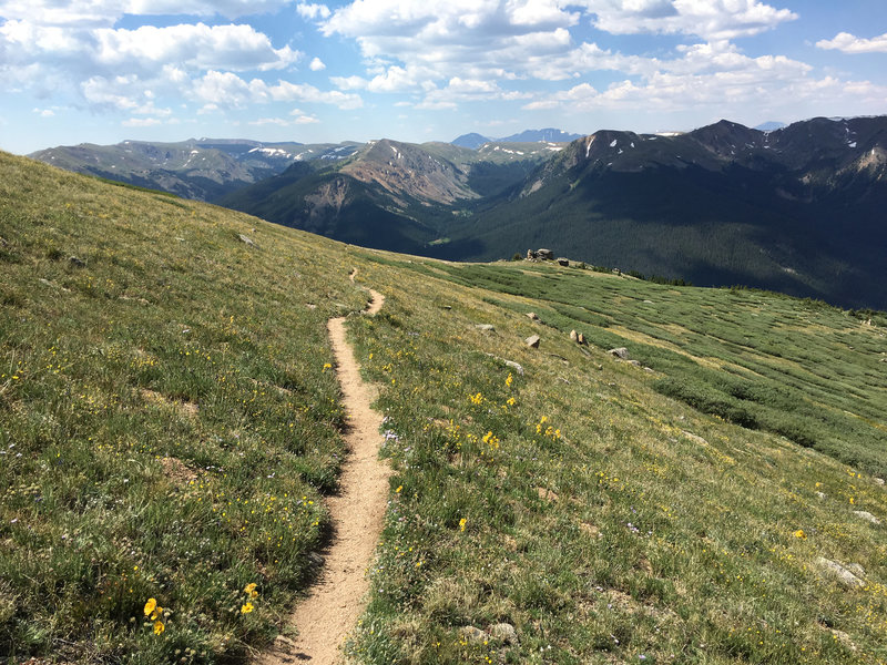 Once you make it down to this meadow, the trail mellows out for a bit and amazing great views.