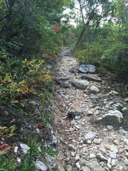 Steep Rock Hiking Trails Steep, Rocky Trail (Tuscarora) Heading Back To The Ridge